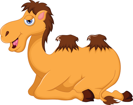 Cartoon Of Animal Camel Camels Desert Face Clip Art, Vector Images ...