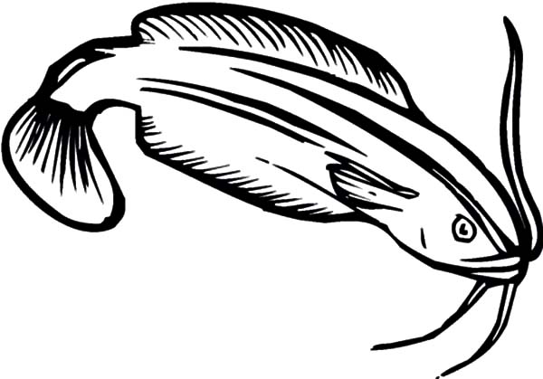 Find the Best Coloring Pages Resources Here! - Part 42