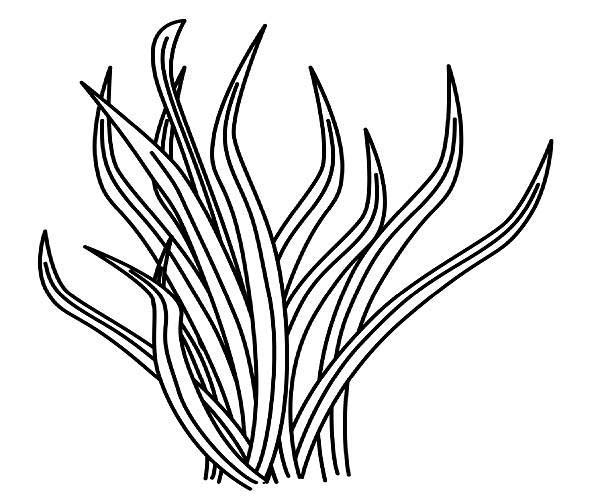 Free Printable Coloring Pages - Part 4