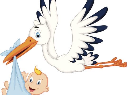 Today's birth announcements