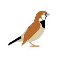 SPARROW CLIPART Archives - Animal Clip Arts