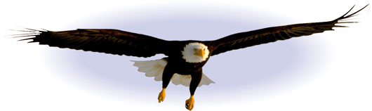 Eagle Wings, changing lives for good