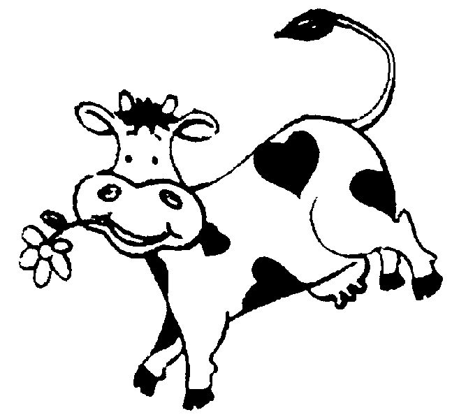 1000+ images about Happy cows