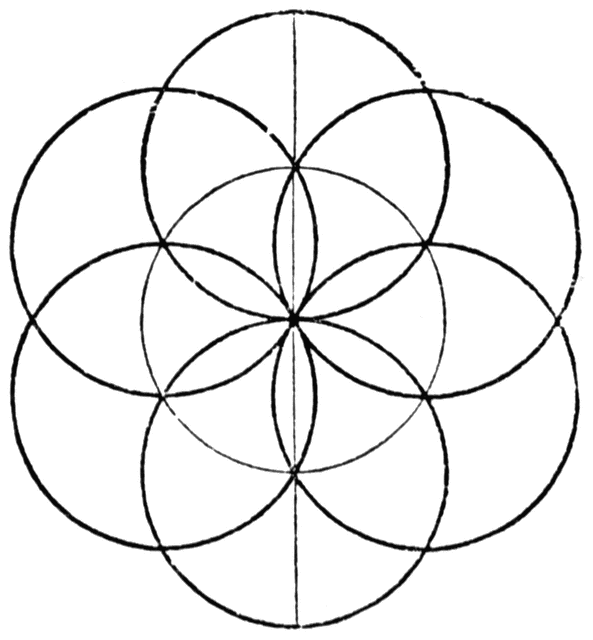 Photosynthesis kids venn diagram