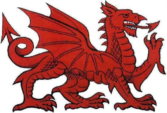Welsh Dragon Tattoos For Men