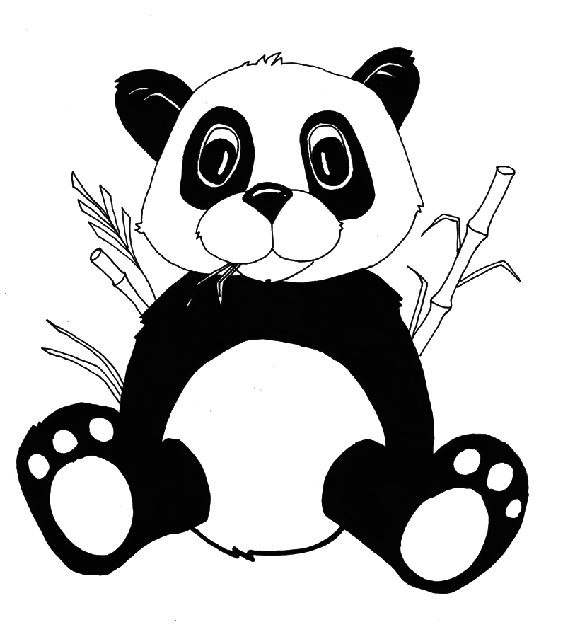 deviantART: More Like bouncing panda bear by