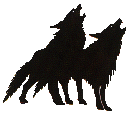 2wolves.gif