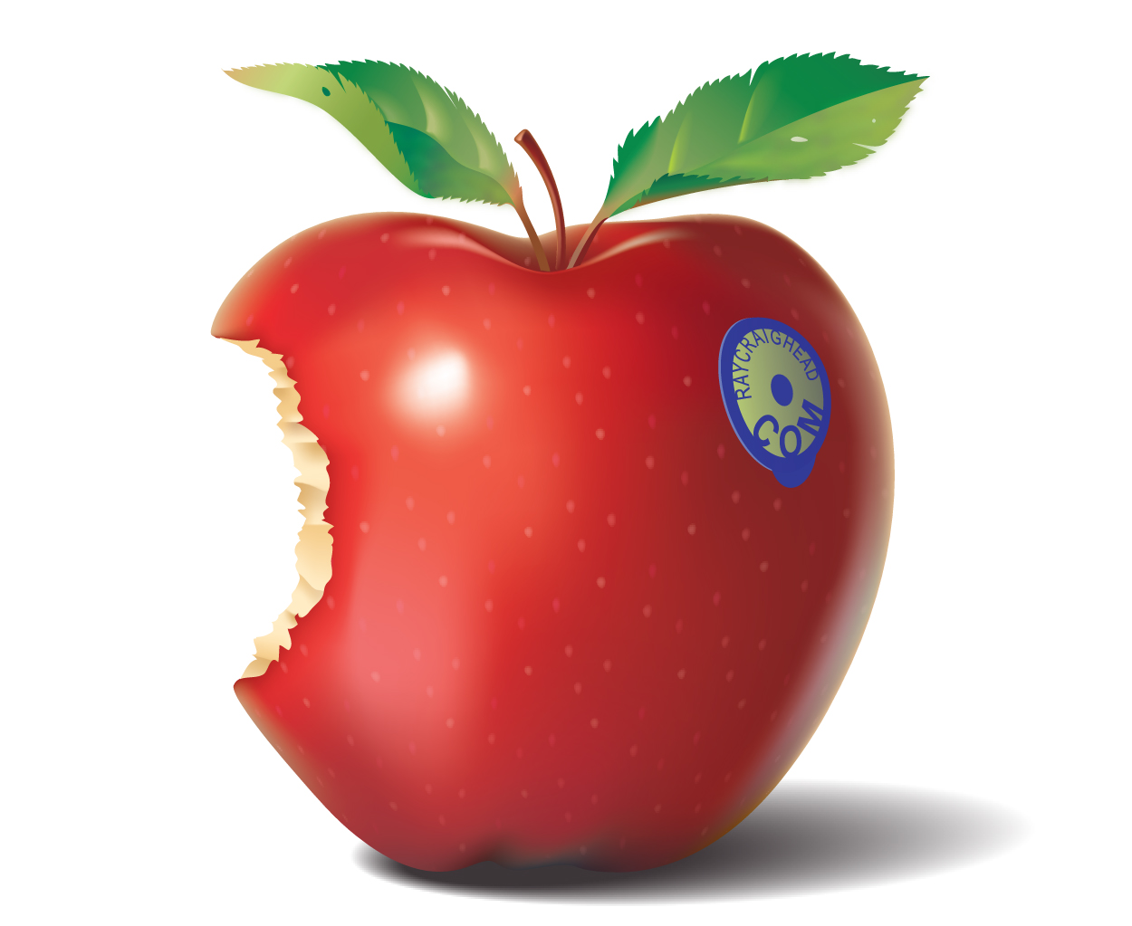 Realistic vector apple
