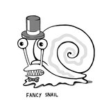 Fancy Snail