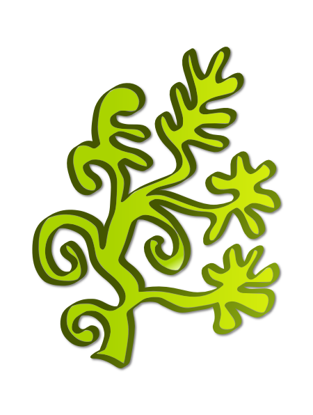 Weed Plant Drawings