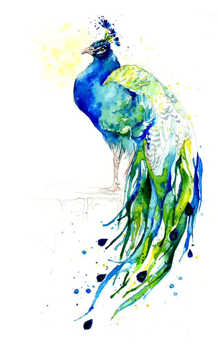 Amy Holliday Illustration: January 2012