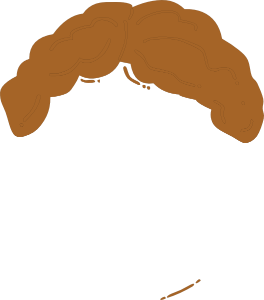 Light Brown Guy Wig Clip Art - vector clip art online ...
