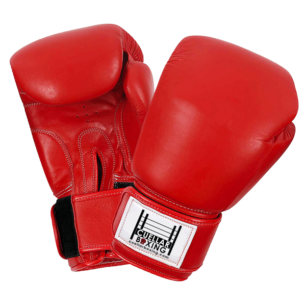 Boxing Png - Free Icons and PNG Backgrounds