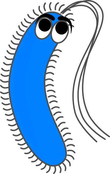 Cartoon Bacteria