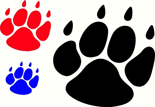 Paw Prints, Buy Vehicle Graphics OnlineUK