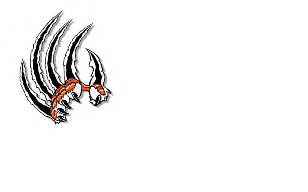 Image of Claw Marks Clipart #6761, Lion Paws Tattoos - Clipartoons