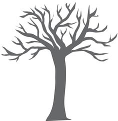 Trees, Trunks and Tree trunks