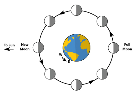 Blank Phases Of Moon Diagram - ClipArt Best