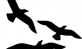 33+ Bird Flying Outline Clipart