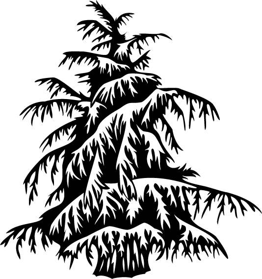 Cedar Tree Drawing