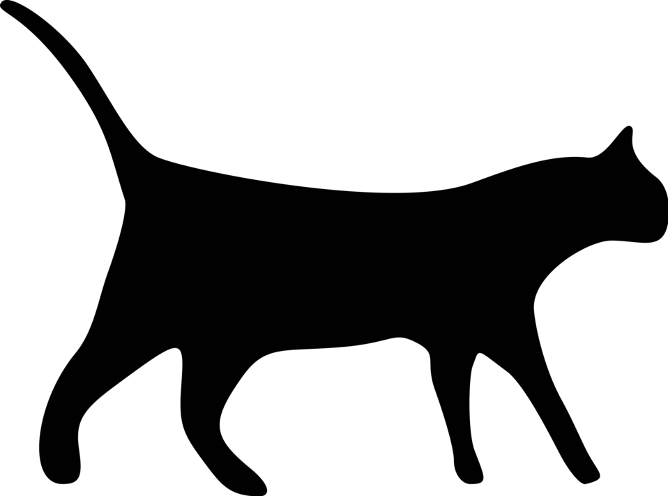 Black Cat Illustrations