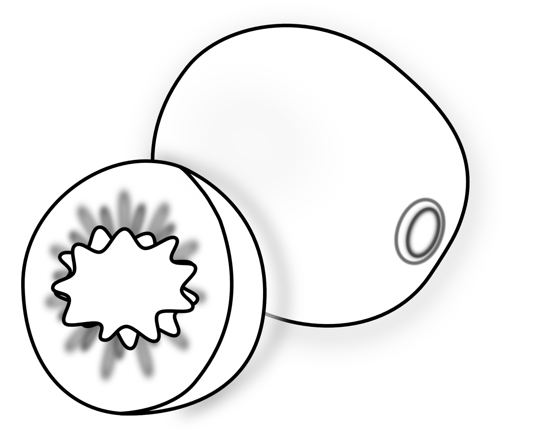 Kiwi Clip Art Clipart - Free to use Clip Art Resource