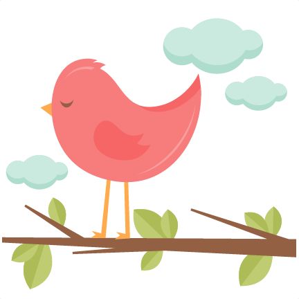 1000+ images about Bird Baby | Clip art, Pet birds ...