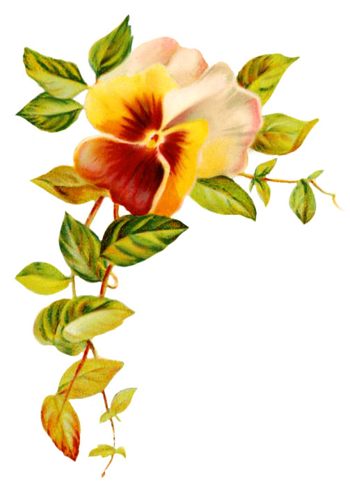 Pansy Clipart | Free Download Clip Art | Free Clip Art | on ...