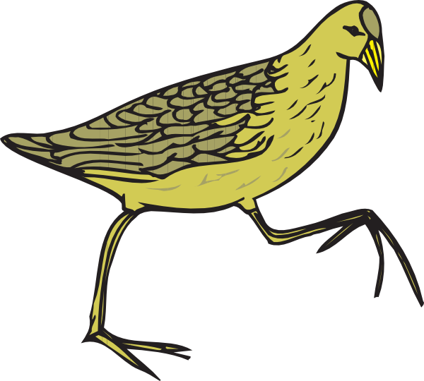 Moorhen clip art - vector clip art online, royalty free & public ...