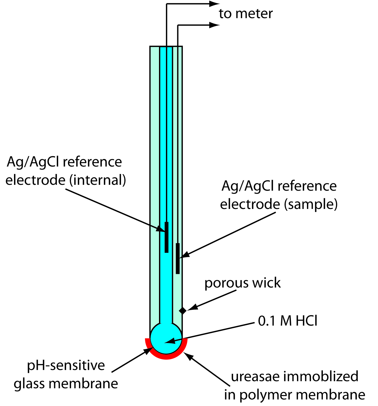 Figure11.21.jpg