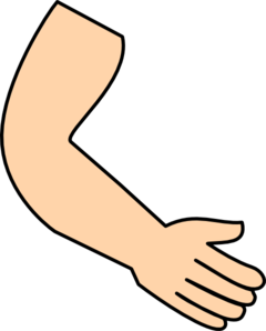 Arm & Hand Clip Art - vector clip art online, royalty ...