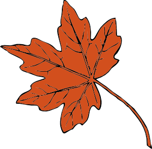 Maple Leaf clip art - vector clip art online, royalty free ...