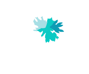 spa-logo-lotus-final-md.png