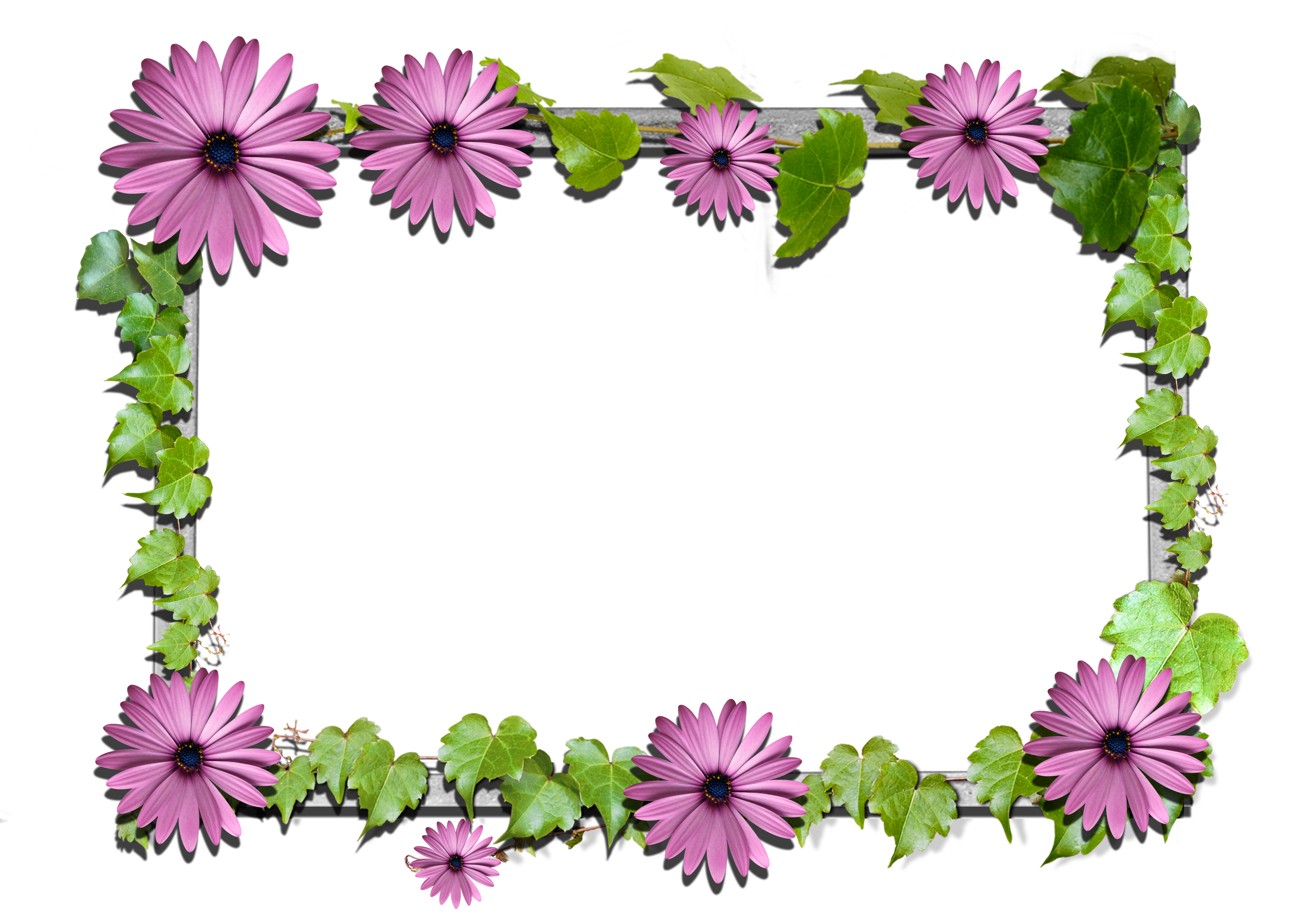 Flowers frame (4)