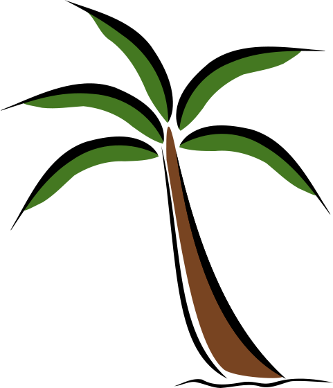 tropical palm tree
