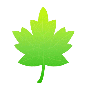 Leaf Animated - ClipArt Best