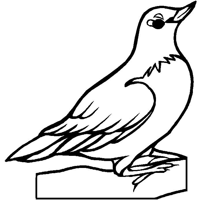 Bird Outline Drawing | Free Download Clip Art | Free Clip Art | on ...