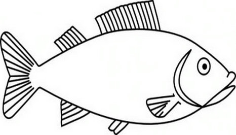 Fish Clipart Outline