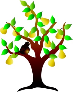 Bing Com Pear Clipart