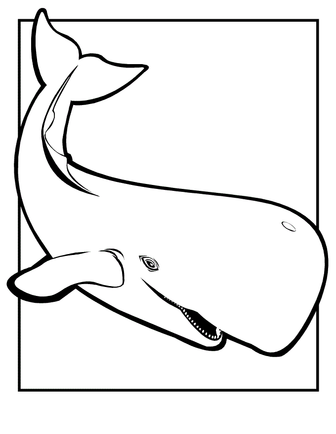 Shamu Coloring Pages - AZ Coloring Pages