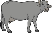 Free Buffalo Clipart - Clip Art Pictures - Graphics - Illustrations