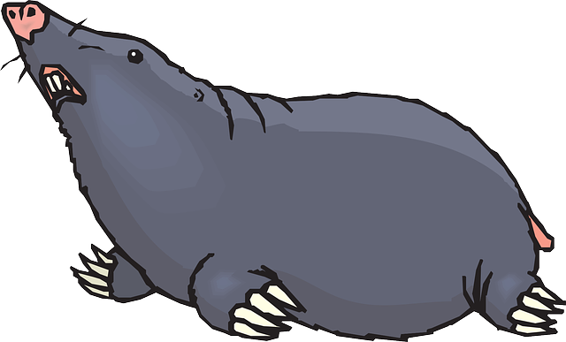 Free pictures MOLE - 35 images found