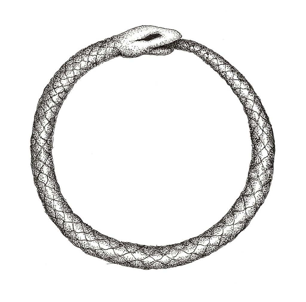 Literally Ouroboros: snake gets trapped in a circle of its own ...