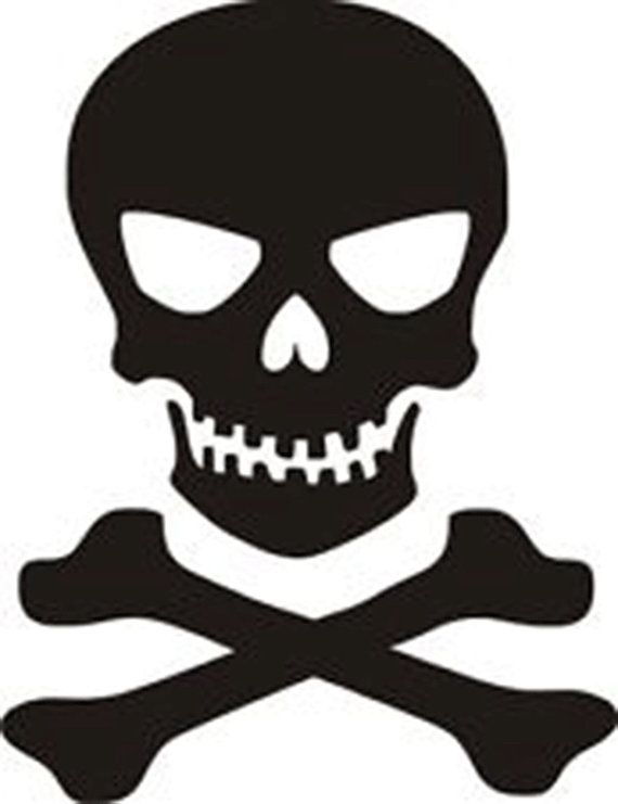 1000+ images about Skull | Alexander McQueen, Free ...