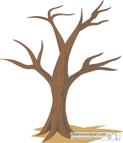 Tree Clipart Outline No Leaves