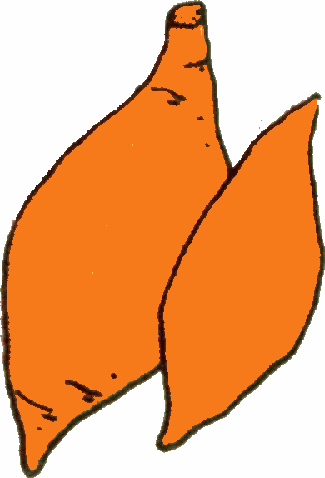 Yam Black And White Clipart