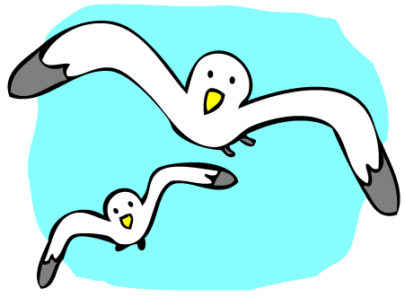 Seagull Gif - ClipArt Best