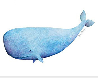 Sperm Whale Clipart