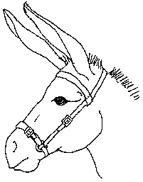 Permanent Farming Systems based on Animal Traction: PART III Draft ...
