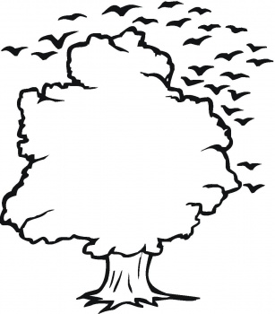 Tree and Birds Outline coloring page | Super Coloring